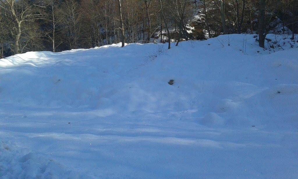 Ayancık Sulusökü Köyü Resimleri 3