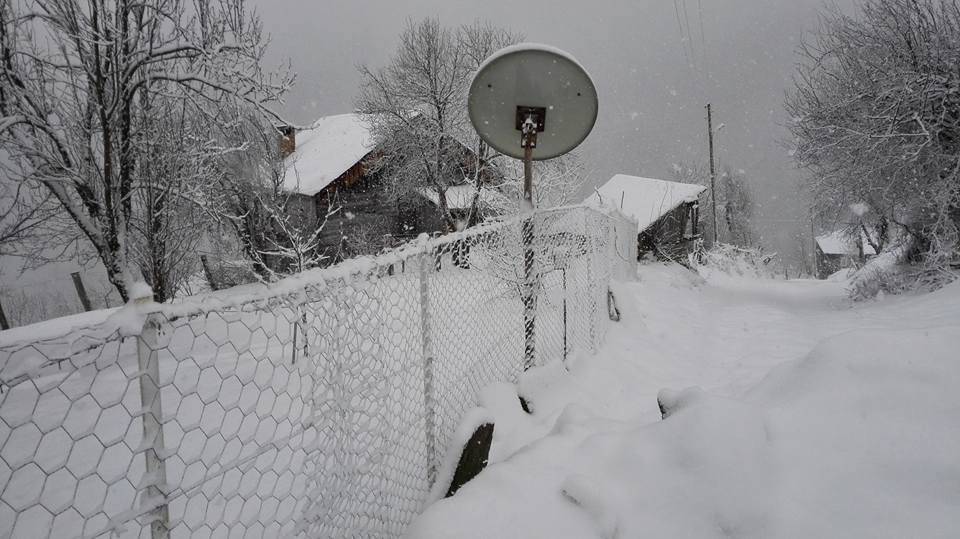 Ayancık Sulusökü Köyü Resimleri 6