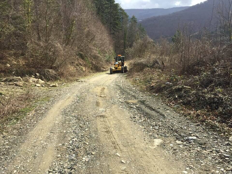 Ayancık Sulusökü Köyü Resimleri 7