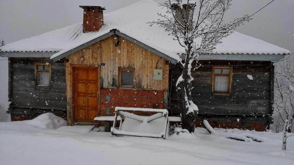 Ayancık Sulusökü Köyü Resimleri 8