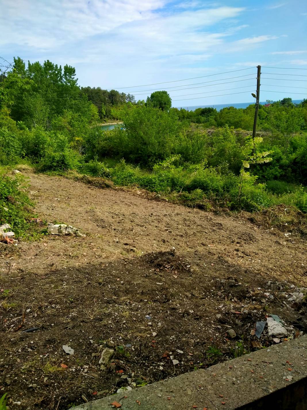 Ayancık Tarakçı Köyü Resimleri 5