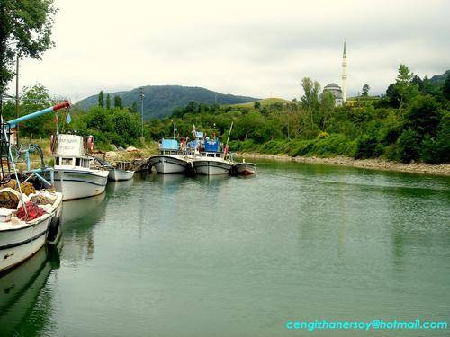 Ayancık Tarakçı Köyü Resimleri 7
