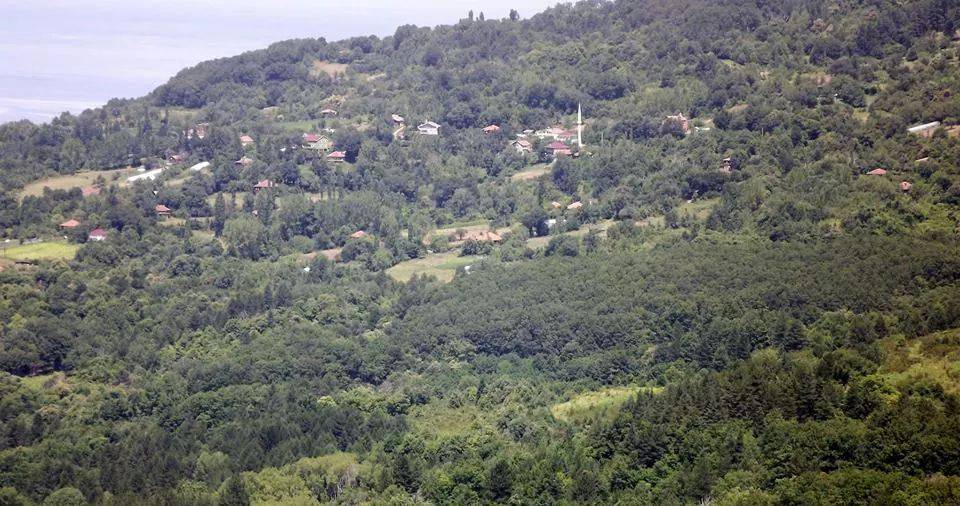 Ayancık Tepecik Köyü Resimleri 1