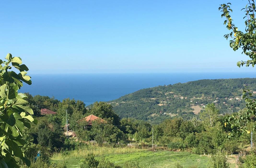 Ayancık Tepecik Köyü Resimleri 3