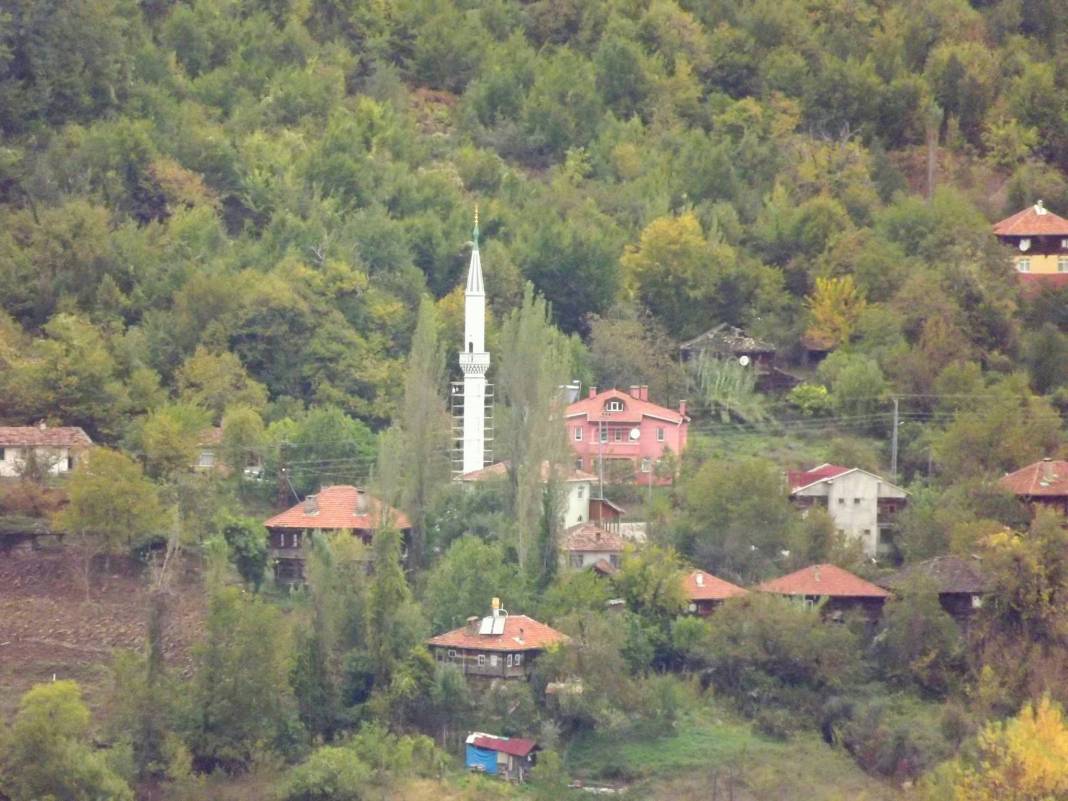 Ayancık Tepecik Köyü Resimleri 6