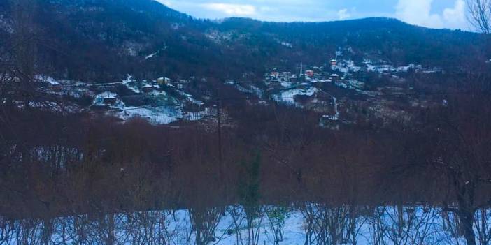 Ayancık Tepecik Köyü Resimleri