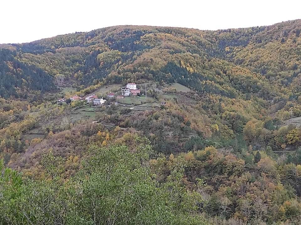 Ayancık Tevfikiye Köyü Resimleri 7