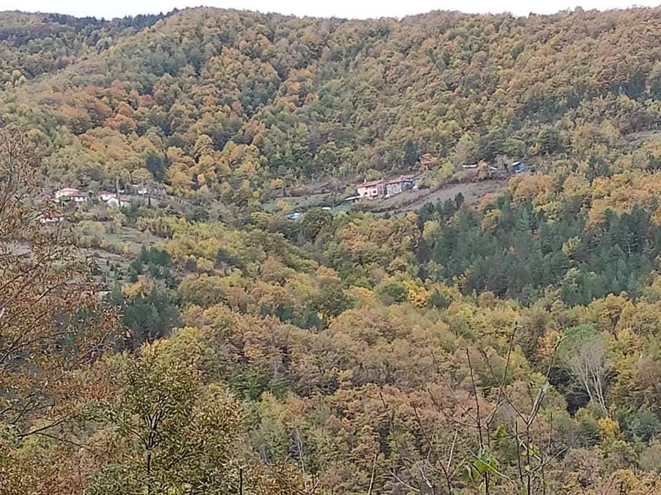 Ayancık Tevfikiye Köyü Resimleri 8