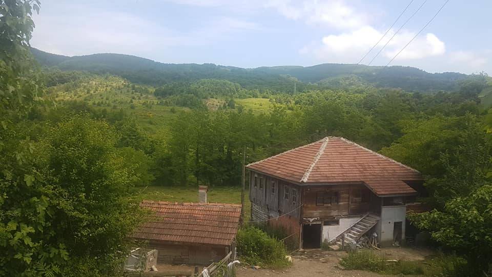 Ayancık Topağaç Köyü Resimleri 5