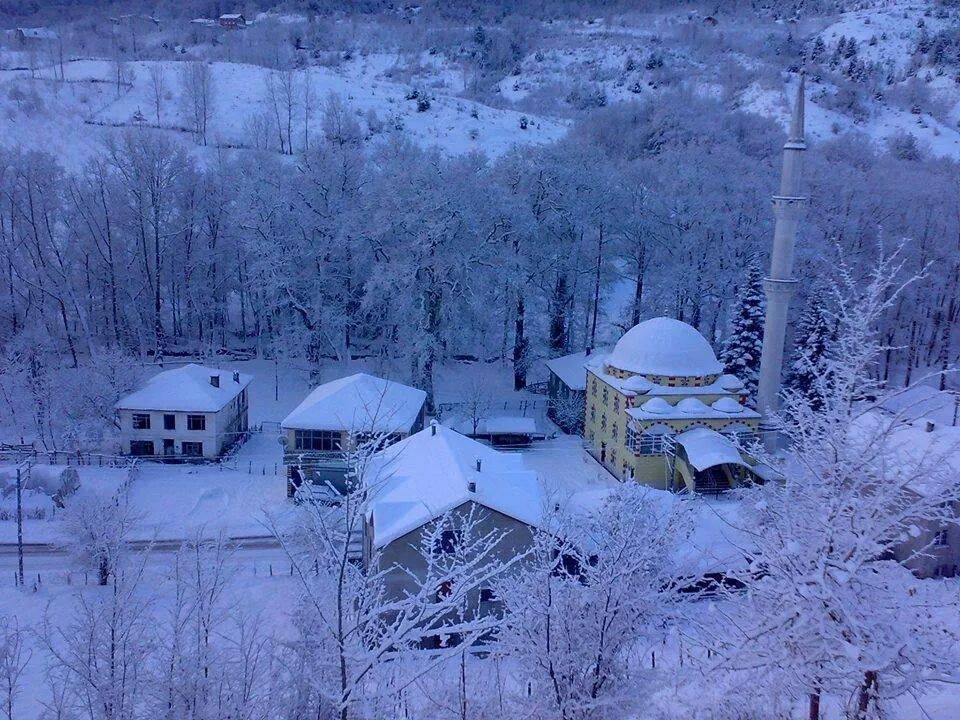 Ayancık Topağaç Köyü Resimleri 7