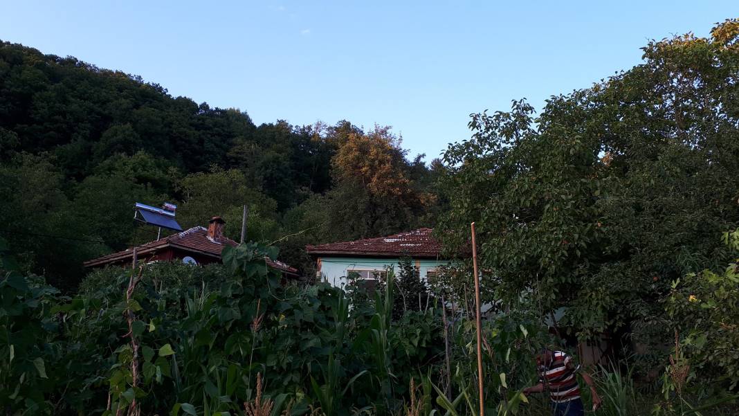 Ayancık Türkmen Köyü Resimleri 10