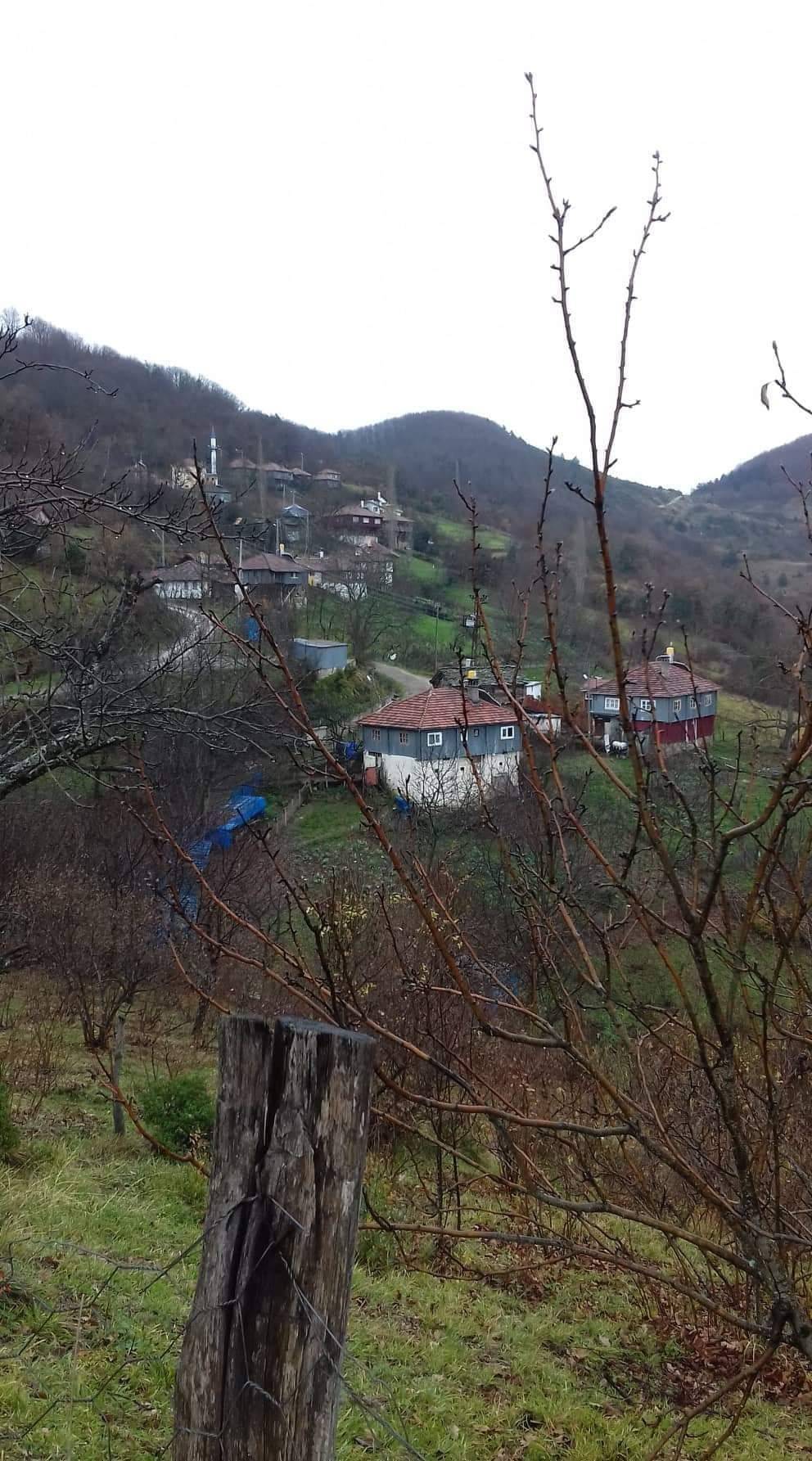 Ayancık Türkmen Köyü Resimleri 7