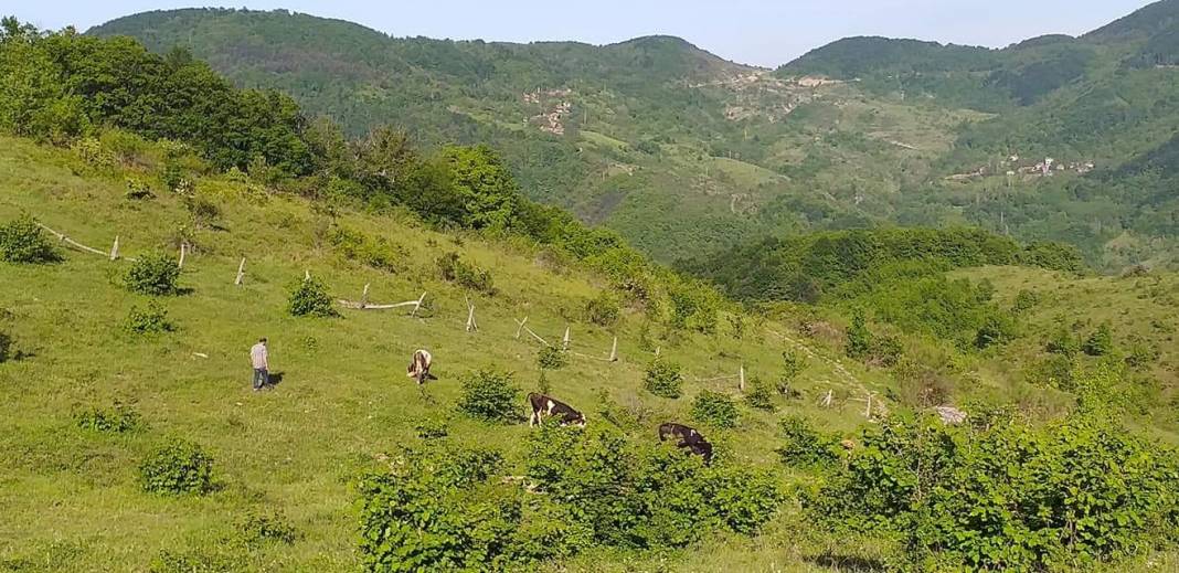 Ayancık Türkmen Köyü Resimleri 8