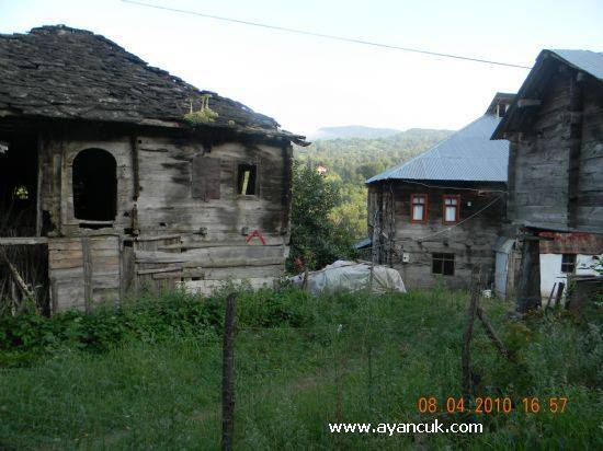 Ayancık Uzunçam Köyü Resimleri 1