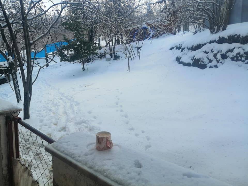 Ayancık Uzunçam Köyü Resimleri 10