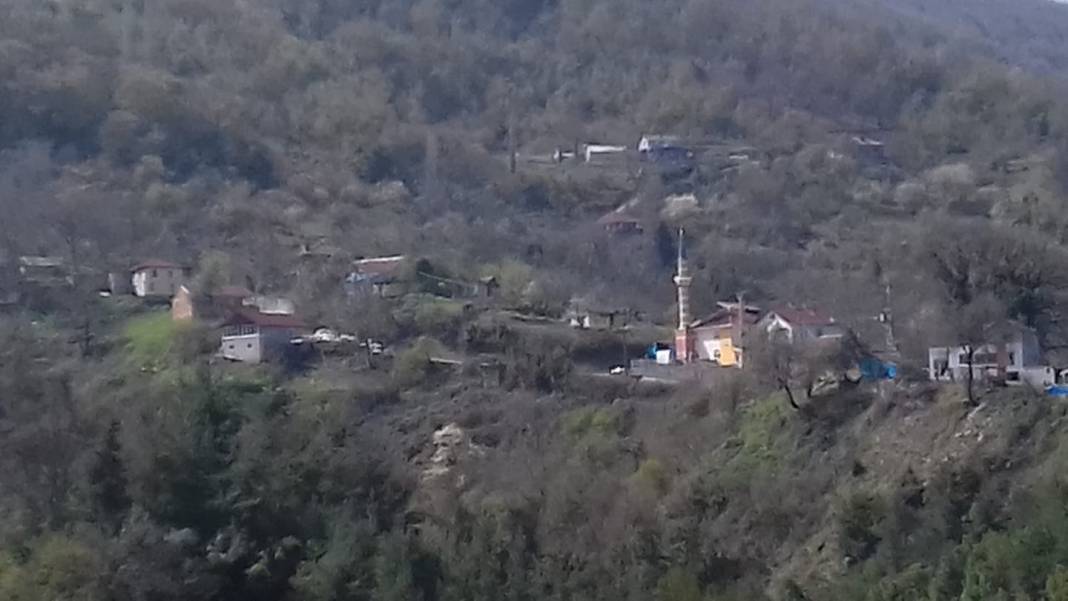 Ayancık Ünlüce Köyü Resimleri 3