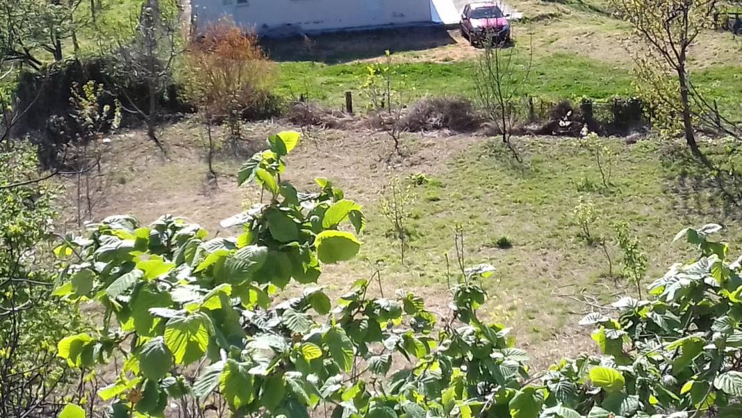 Ayancık Ünlüce Köyü Resimleri 5