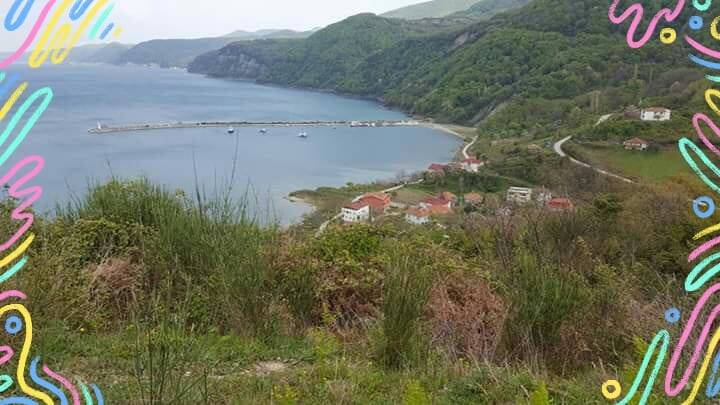 Ayancık Ünlüce Köyü Resimleri 6