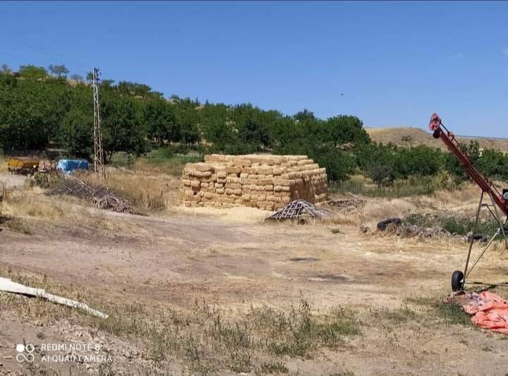 Ayancık Ünlüce Köyü Resimleri 8