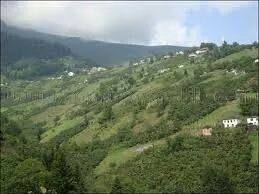 Ayancık Yarenler Köyü Resimleri 1