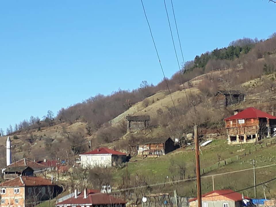 Ayancık Yarenler Köyü Resimleri 10