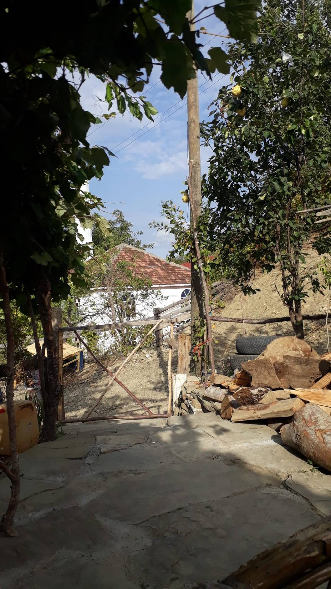 Ayancık Yarenler Köyü Resimleri 13