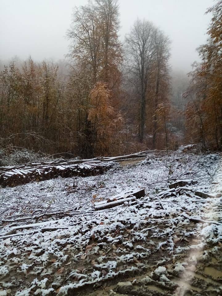 Ayancık Yarenler Köyü Resimleri 14