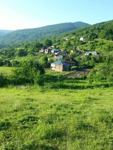 Ayancık Yarenler Köyü Resimleri 2