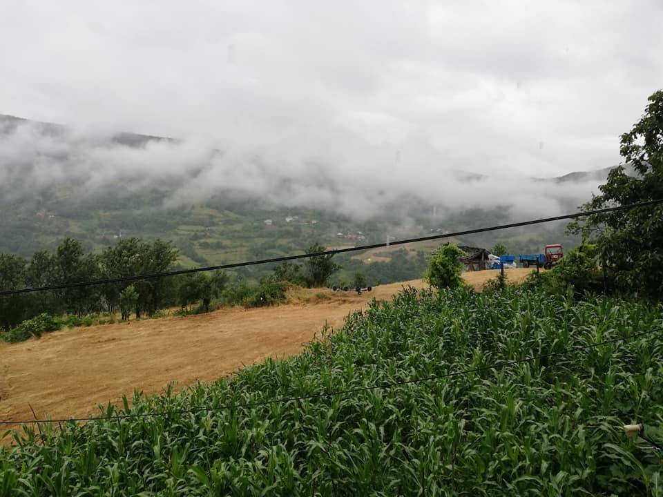 Ayancık Yarenler Köyü Resimleri 6