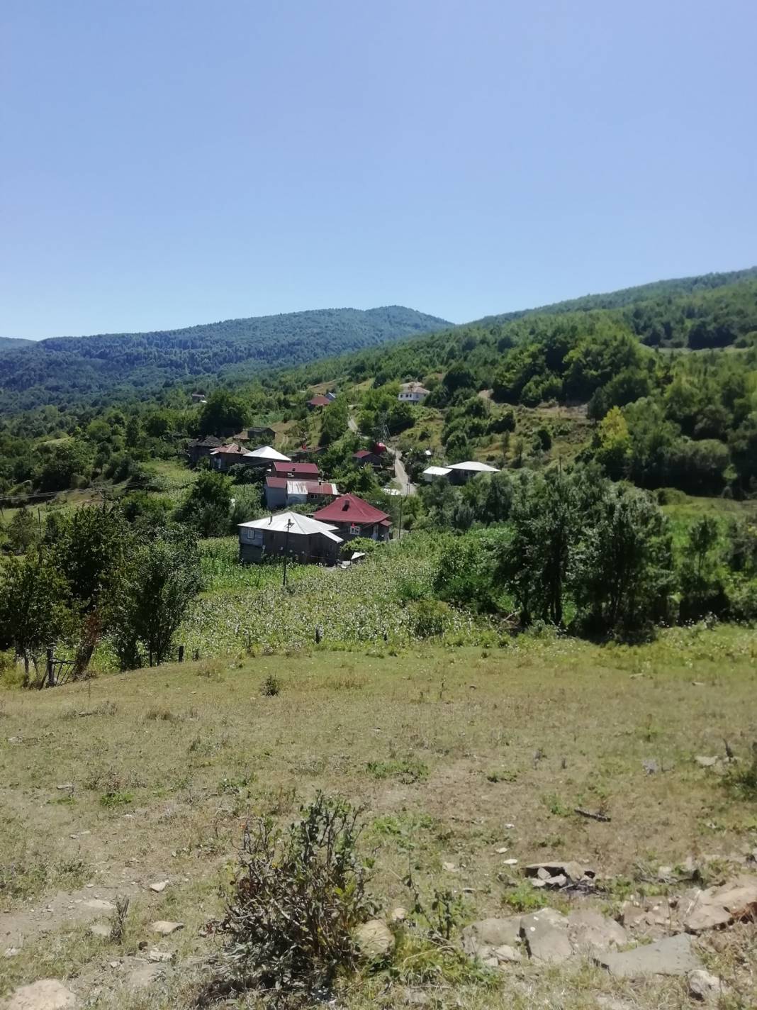 Ayancık Yarenler Köyü Resimleri 8