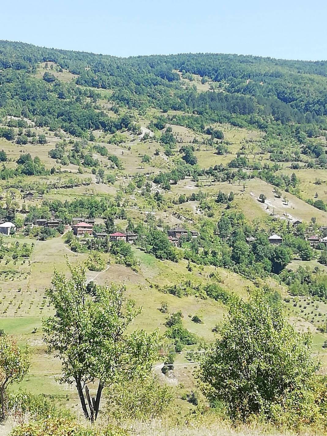 Ayancık Yarenler Köyü Resimleri 9