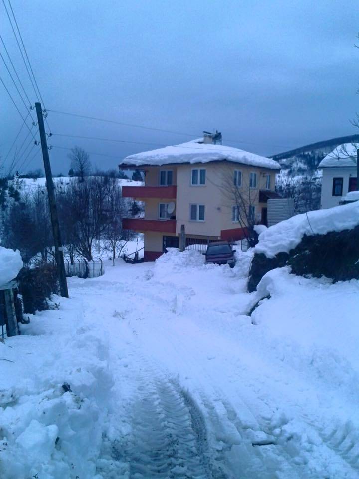 Ayancık Yemişen Köyü Resimleri 1