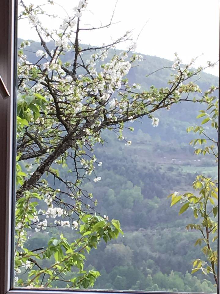 Ayancık Yemişen Köyü Resimleri 3