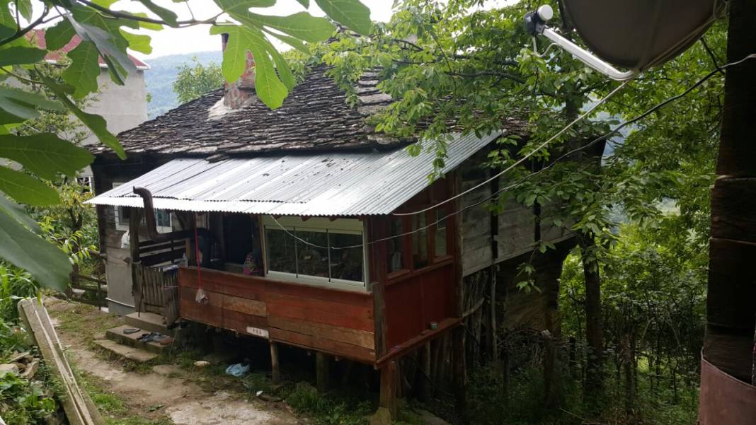 Ayancık Yemişen Köyü Resimleri 4