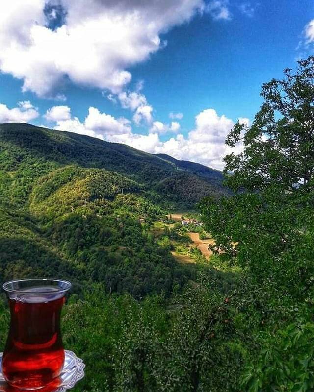 Ayancık Yemişen Köyü Resimleri 6