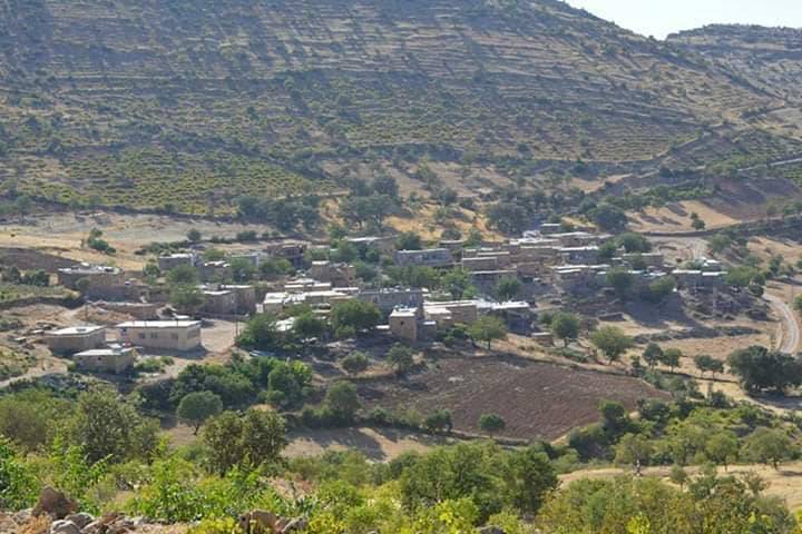 Gercüş Çiçekli Köyü Resimleri 10