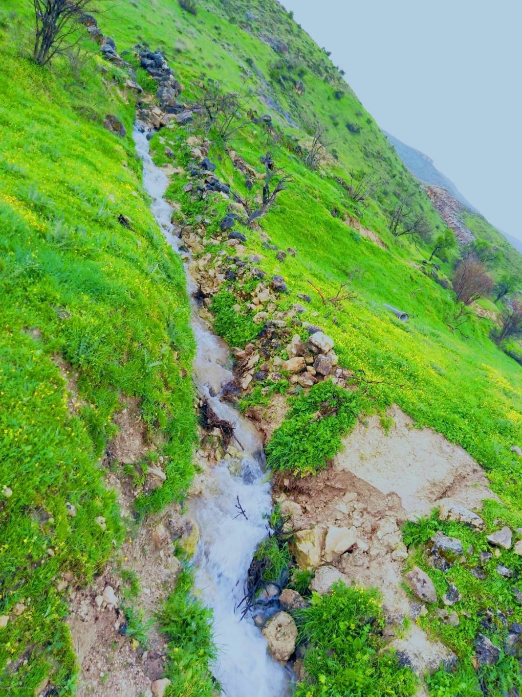 Gercüş Çiçekli Köyü Resimleri 11