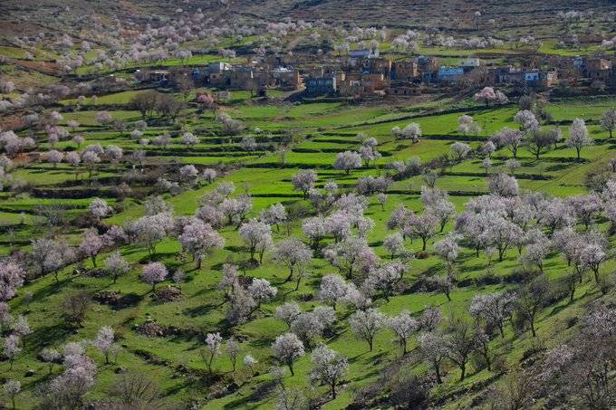 Gercüş Çiçekli Köyü Resimleri 12