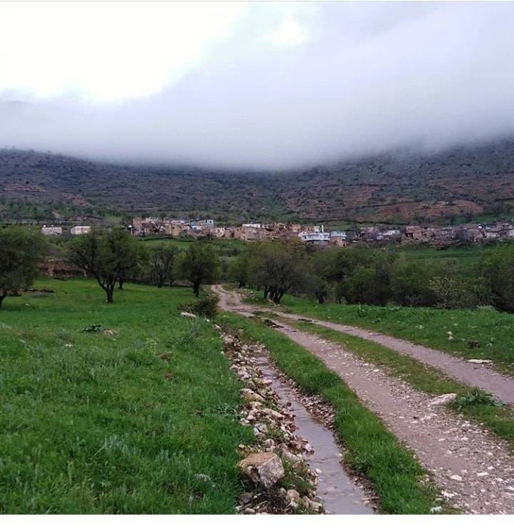 Gercüş Çiçekli Köyü Resimleri 3