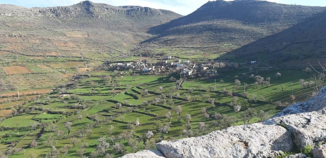 Gercüş Çiçekli Köyü Resimleri 4