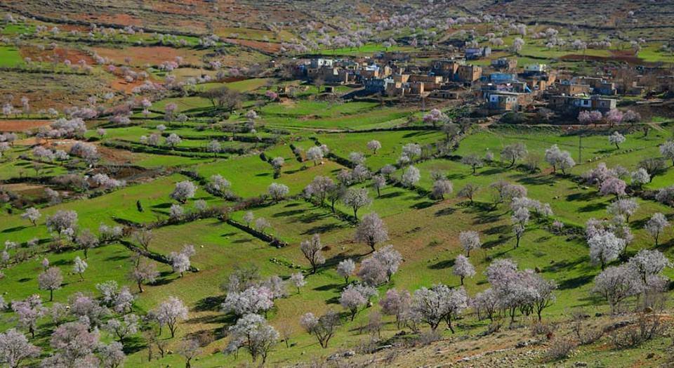 Gercüş Çiçekli Köyü Resimleri 7