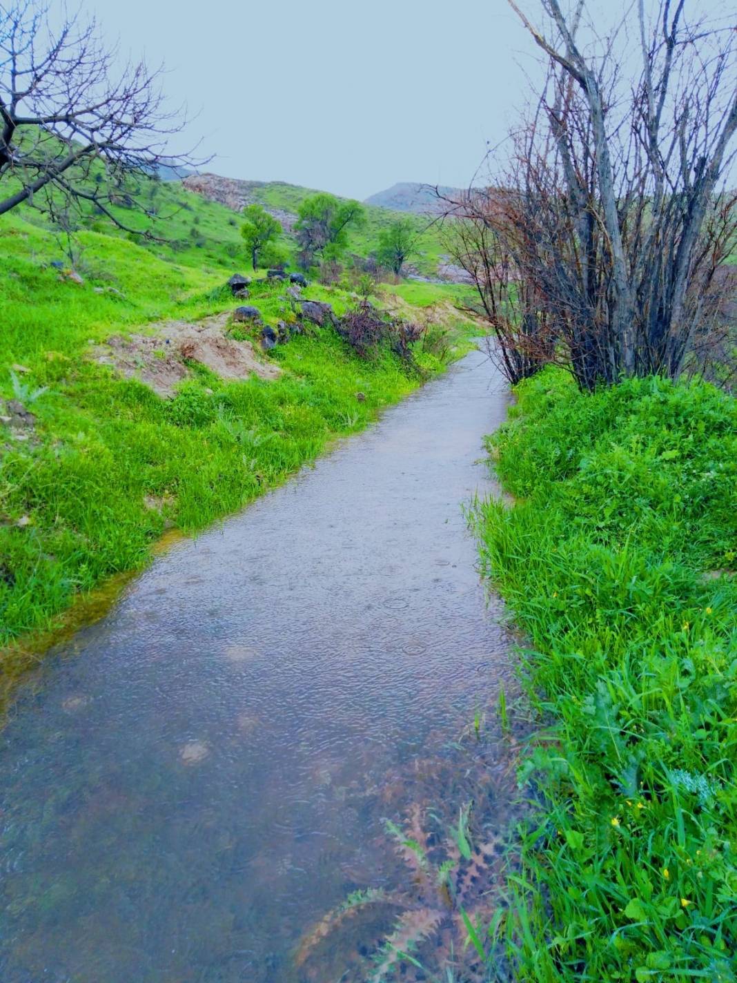 Gercüş Çiçekli Köyü Resimleri 9