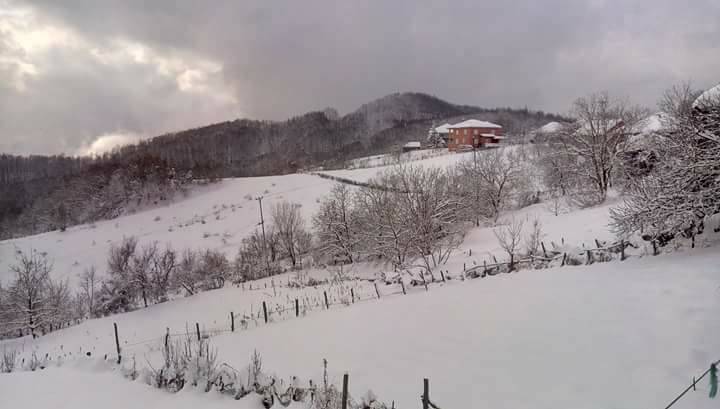 Ayancık Yenigüler Köyü Resimleri 3