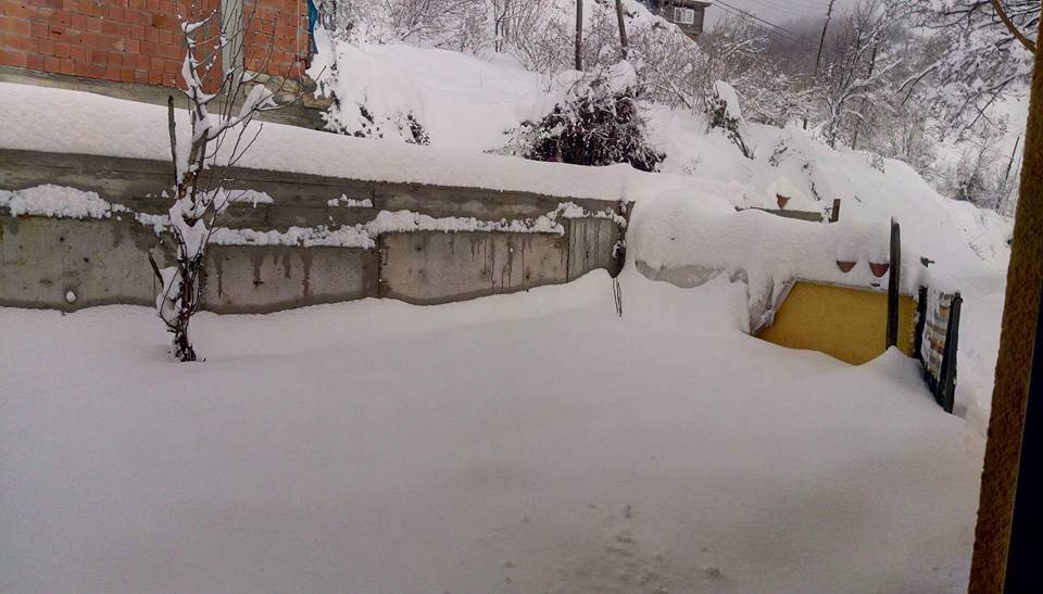 Ayancık Yenigüler Köyü Resimleri 4