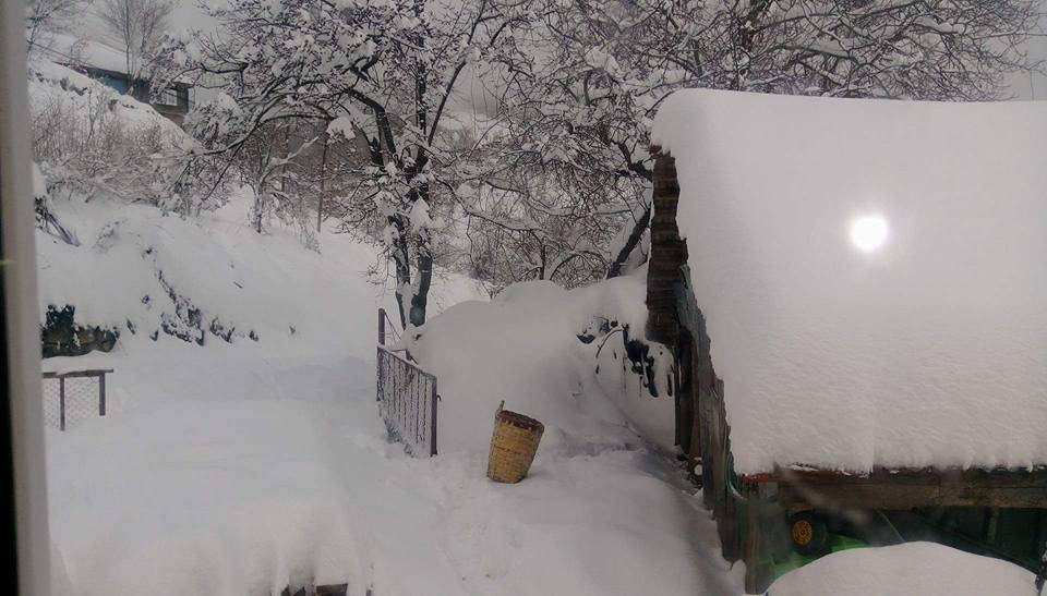 Ayancık Yenigüler Köyü Resimleri 5