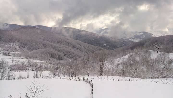 Ayancık Yenigüler Köyü Resimleri 6
