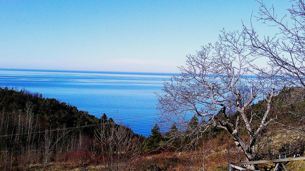 Ayancık Yeşilyurt Köyü Resimleri 2