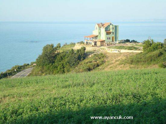 Ayancık Yeşilyurt Köyü Resimleri 3