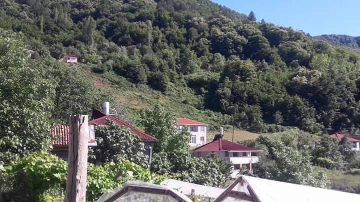 Ayancık Yeşilyurt Köyü Resimleri 5