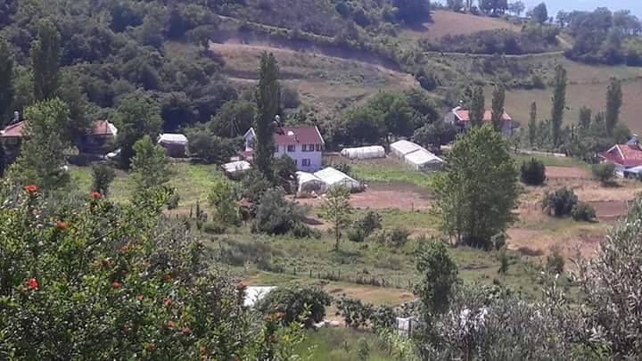 Ayancık Yeşilyurt Köyü Resimleri 6